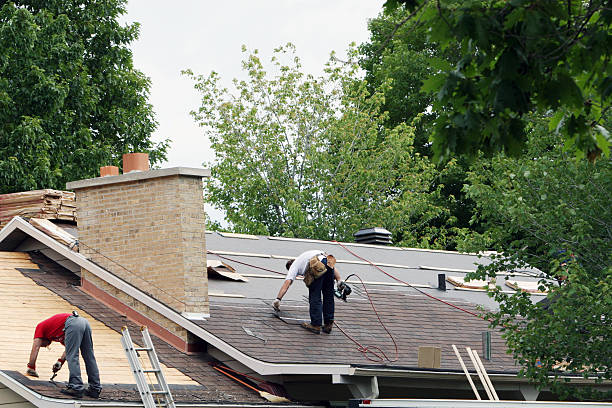Best Roof Gutter Cleaning  in Stanley, WI