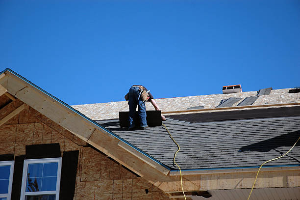 Best Roof Gutter Cleaning  in Stanley, WI