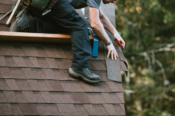 Best Roof Repair Services  in Stanley, WI